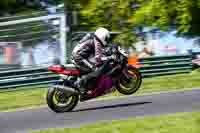 cadwell-no-limits-trackday;cadwell-park;cadwell-park-photographs;cadwell-trackday-photographs;enduro-digital-images;event-digital-images;eventdigitalimages;no-limits-trackdays;peter-wileman-photography;racing-digital-images;trackday-digital-images;trackday-photos